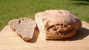 Pane integrale veloce di farro