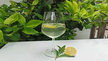 Cider-Hugo