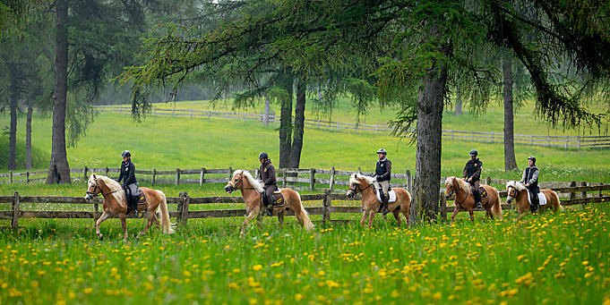 Equitazione in Alto Adige: al galoppo