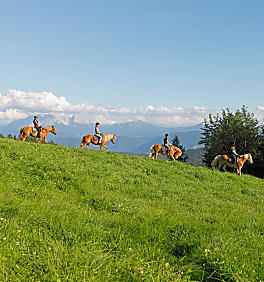 Vacanze a cavallo in Alto Adige: al maso, in sella