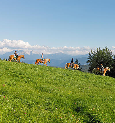 Vacanze a cavallo in Alto Adige: al maso, in sella