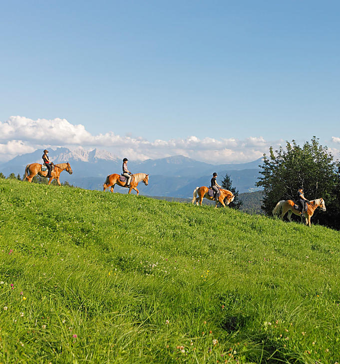 Vacanze a cavallo in Alto Adige: al maso, in sella