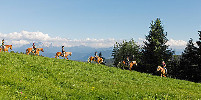 Vacanze a cavallo in Alto Adige: al maso, in sella