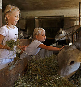 Visite alle stalle negli agriturismi dell’Alto Adige