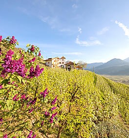 Vacanza di primavera in agriturismo in Alto Adige