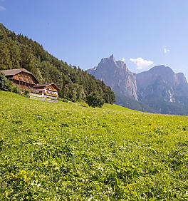 Vacanza estive in agriturismo in Alto Adige