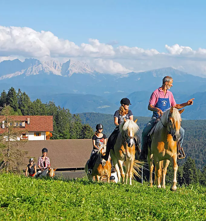 Vacanze in un maso per appassionati di cavalli in Alto Adige