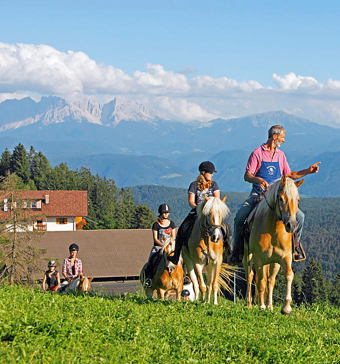 Vacanze in un maso per appassionati di cavalli in Alto Adige