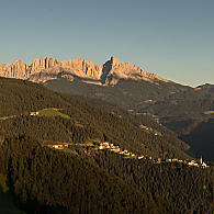 Diffusi boschi di abeti rossi (© Val d’Ega Turismo/Othmar Seehauser)