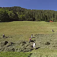 Agricoltura viva di montagna