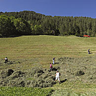 Agricoltura viva di montagna