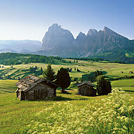 Alpe di Siusi (© IDM Alto Adige/Clemens Zahn)