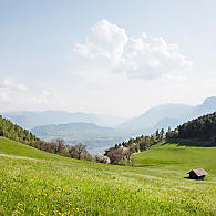 Prati sopra i 1.000 m di altitudine