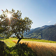 Tutela della natura e gestione del paesaggio