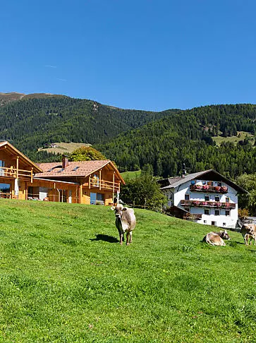 Vacanze ai masi con allevamento