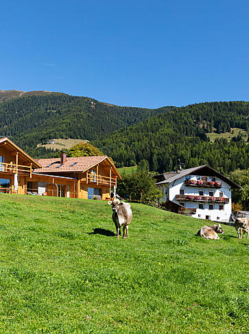 Vacanze ai masi con allevamento