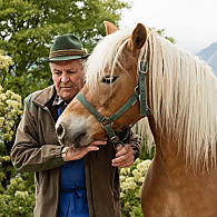 Cavallo di razza avelignese