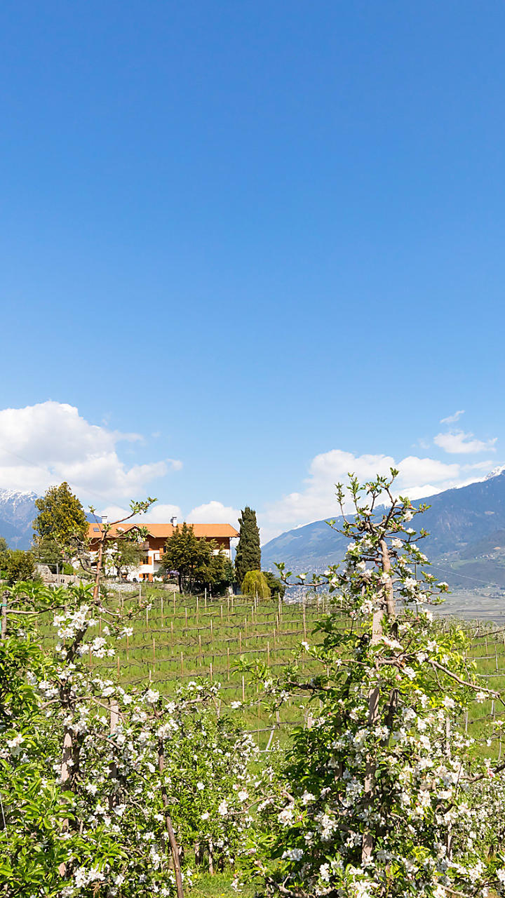 Vacanze in un maso frutticolo in Alto Adige