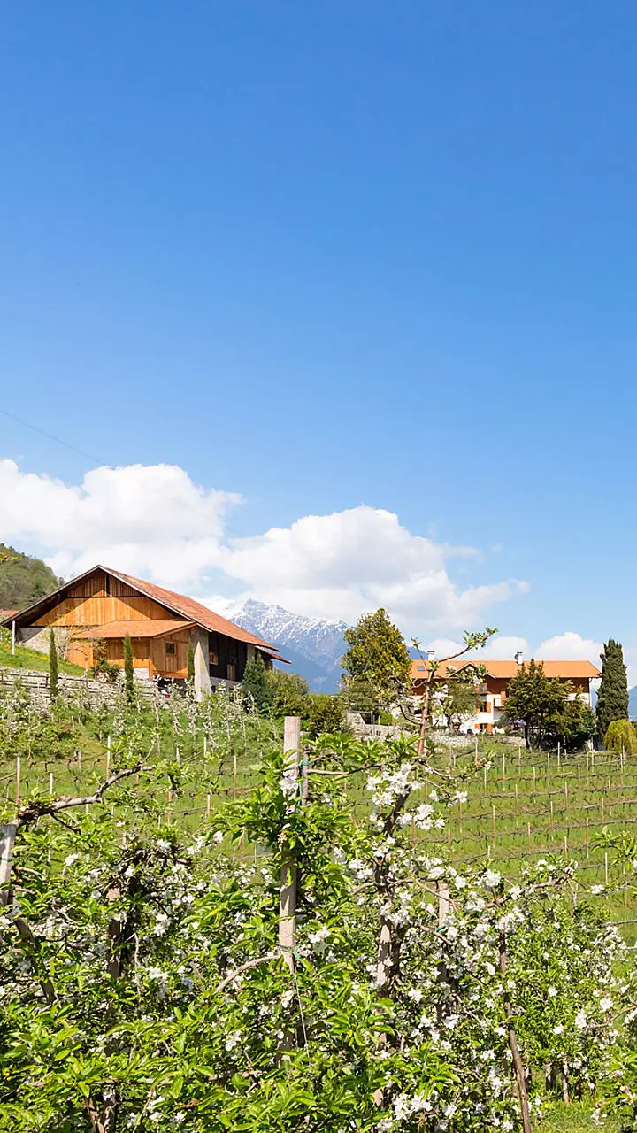 Maso con coltivazione di frutta: vacanze nel giardino dell'Eden
