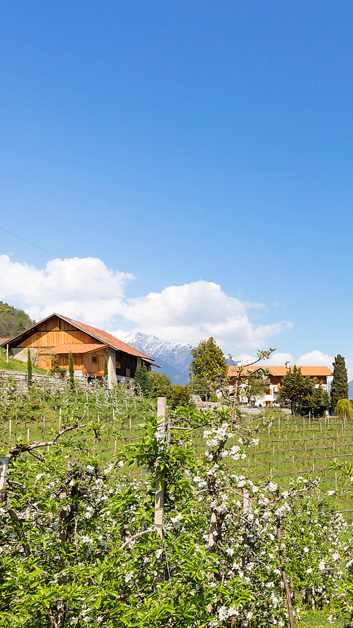 Maso con coltivazione di frutta: vacanze nel giardino dell'Eden
