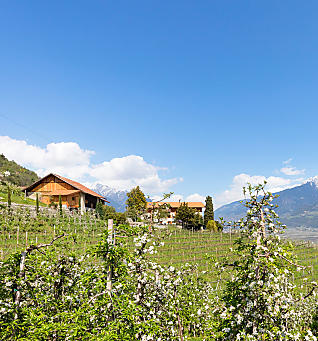 Vacanze in un maso frutticolo in Alto Adige