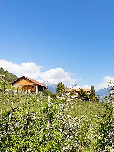 Vacanze in un maso frutticolo in Alto Adige