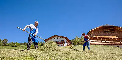 La fienagione nei masi dell’Alto Adige