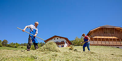 La fienagione nei masi dell’Alto Adige