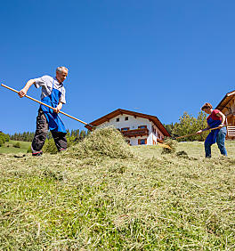 La fienagione nei masi dell’Alto Adige