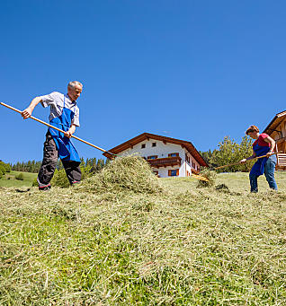 La fienagione nei masi dell’Alto Adige