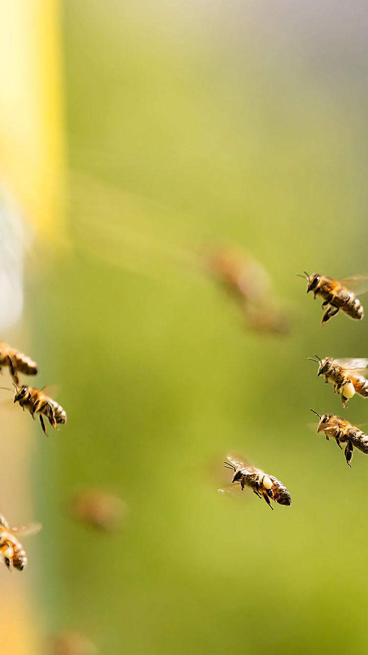 Buono per te,
Buono per l’ambiente