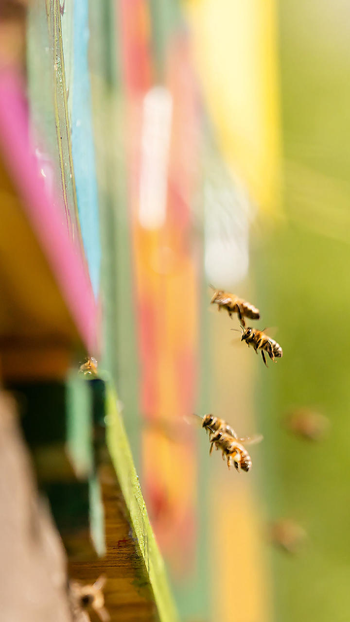 Buono per te,
Buono per l’ambiente