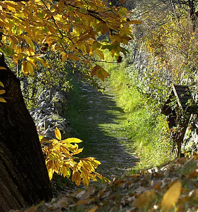 Il Sentiero del castagno in Valle Isarco - Alto Adige
