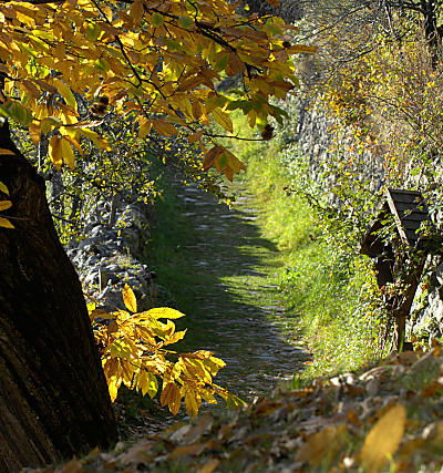 Il Sentiero del castagno in Valle Isarco - Alto Adige