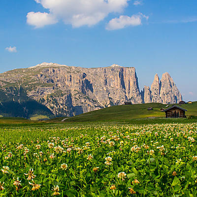 Alpe di Siusi: il più grande alpeggio d’Europa