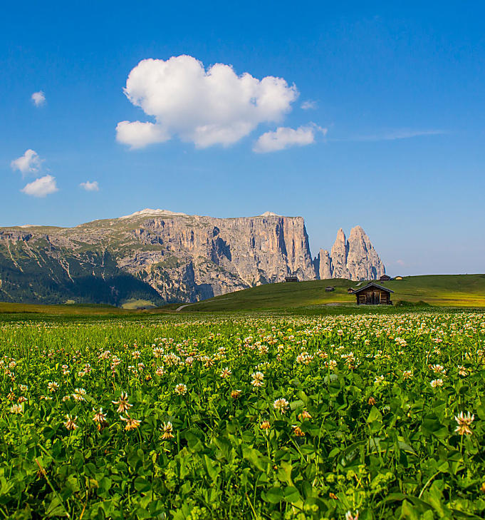 Alpe di Siusi: il più grande alpeggio d’Europa