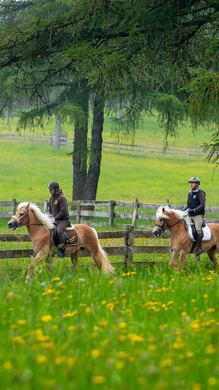 Equitazione in Alto Adige: al galoppo