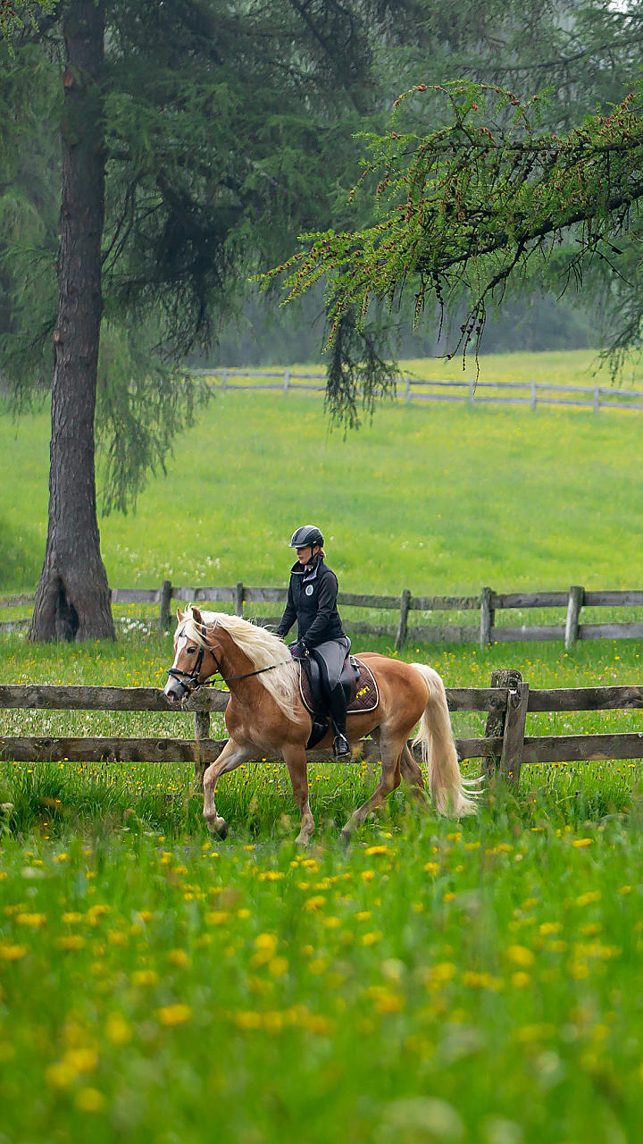 Equitazione in Alto Adige: al galoppo