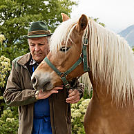 Patria dei cavalli avelignesi e di tradizioni equestri
