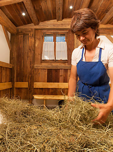 Vacanze wellness nei masi dell’Alto Adige