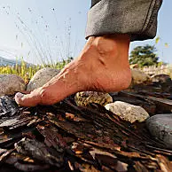 Il potere benefico dell’acqua secondo Kneipp