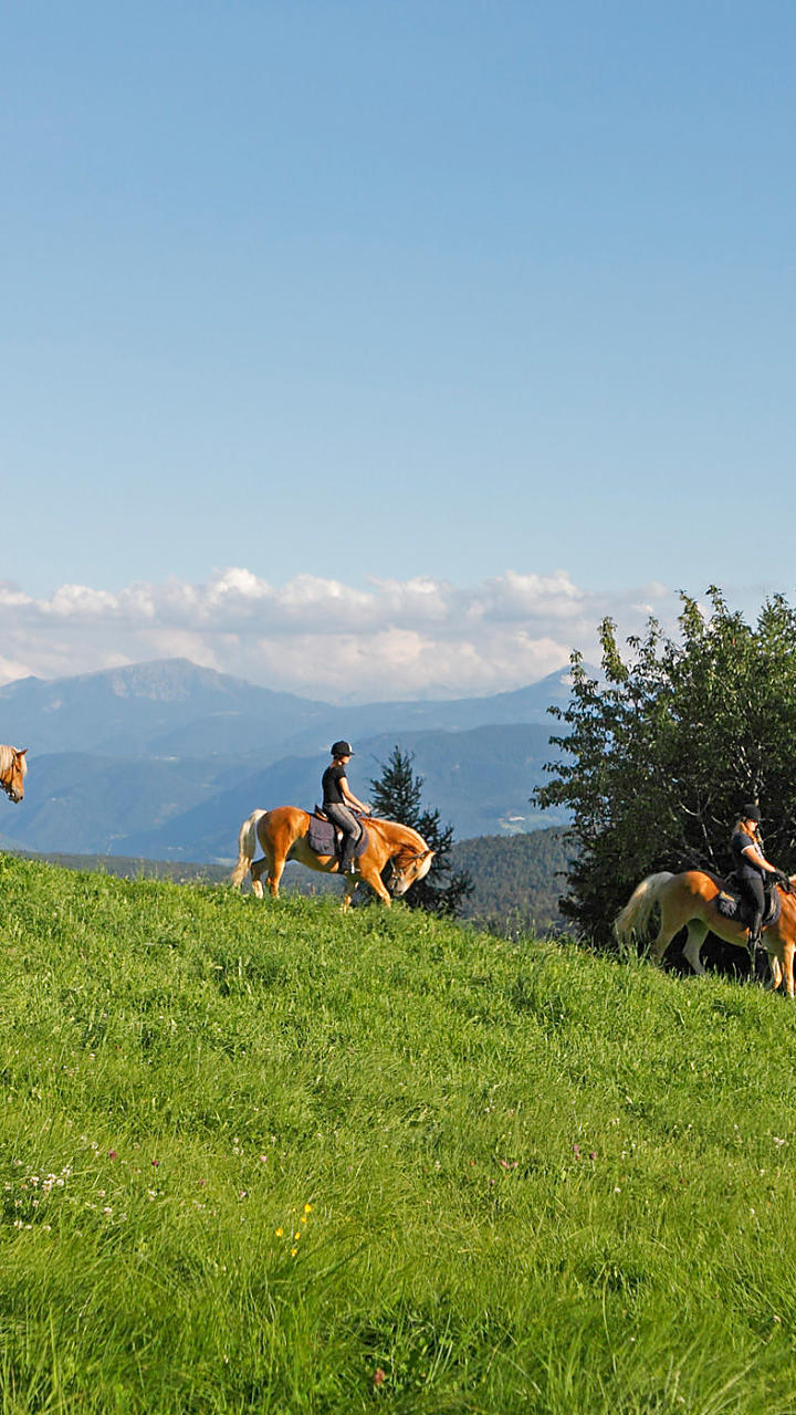 Vacanza a cavallo in Alto Adige: al maso, in sella