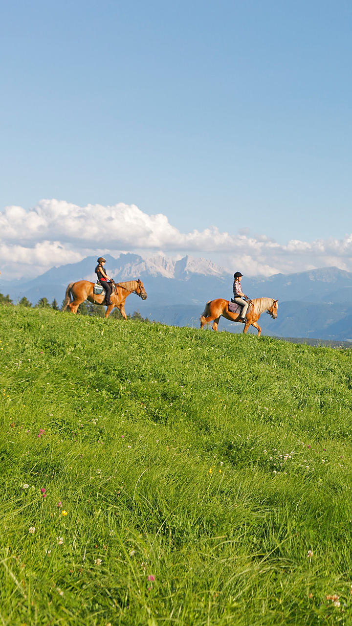 Vacanza a cavallo in Alto Adige: al maso, in sella