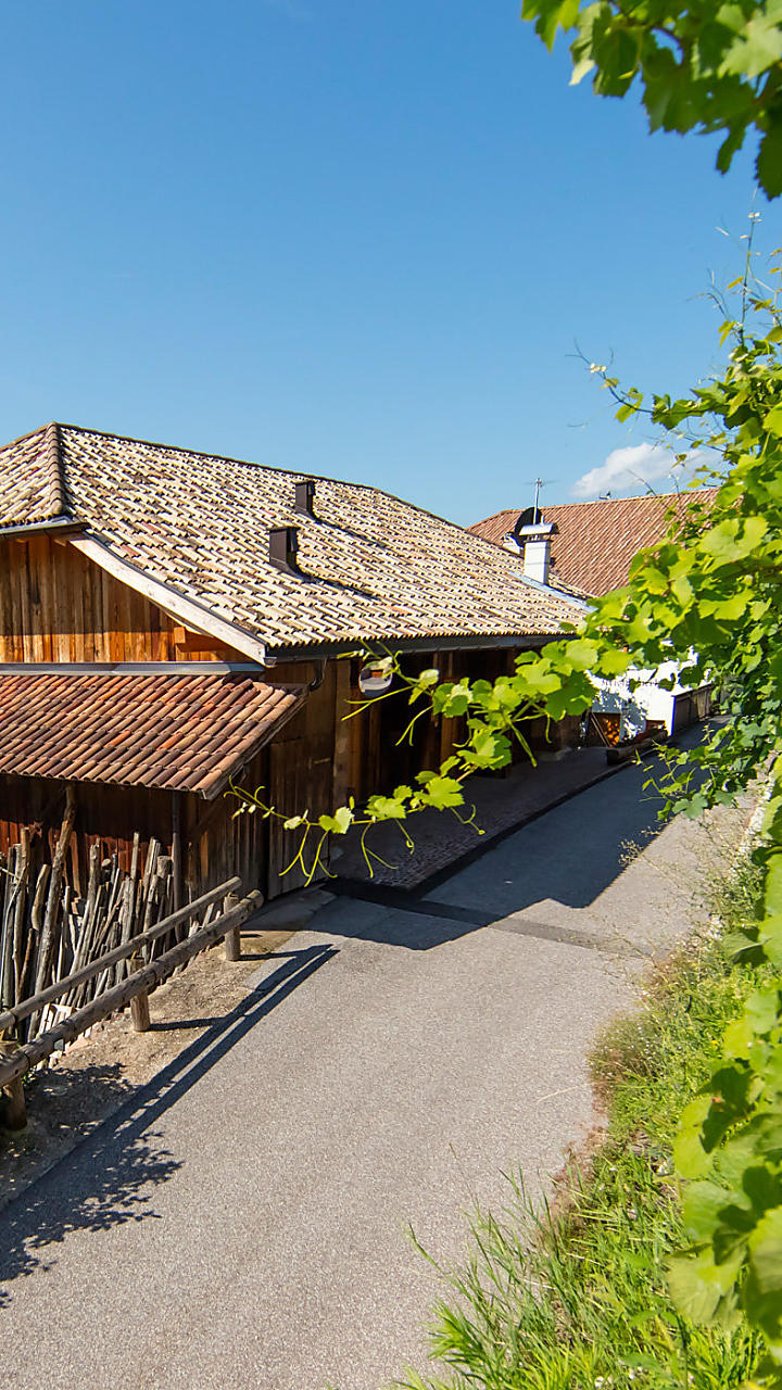 Vacanze in agriturismo vicino alla città in Alto Adige