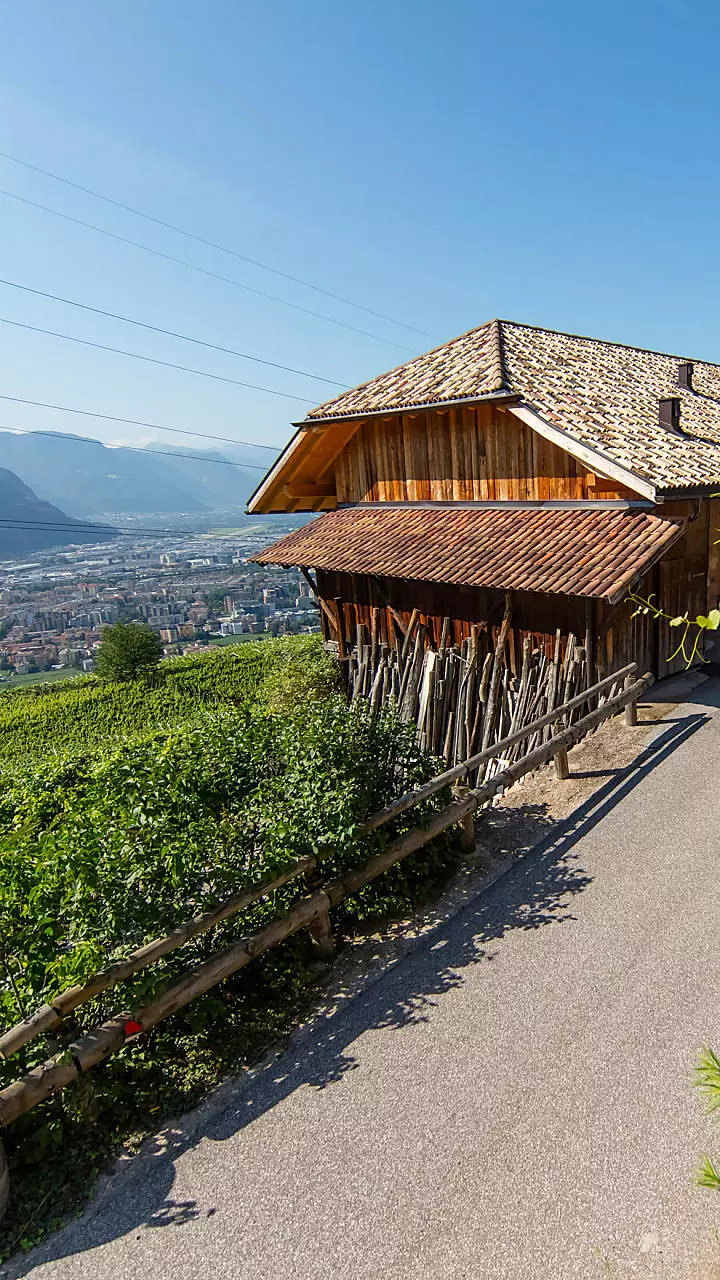 Vacanze in agriturismo vicino alla città in Alto Adige