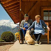 Animali domestici benvenuti in molte masi