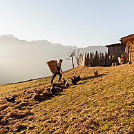 Dure condizioni di lavoro e vera vita da maso di montagna