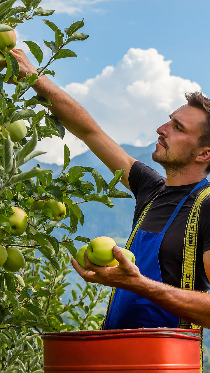 Vivi la quotidianità dei masi in Alto Adige