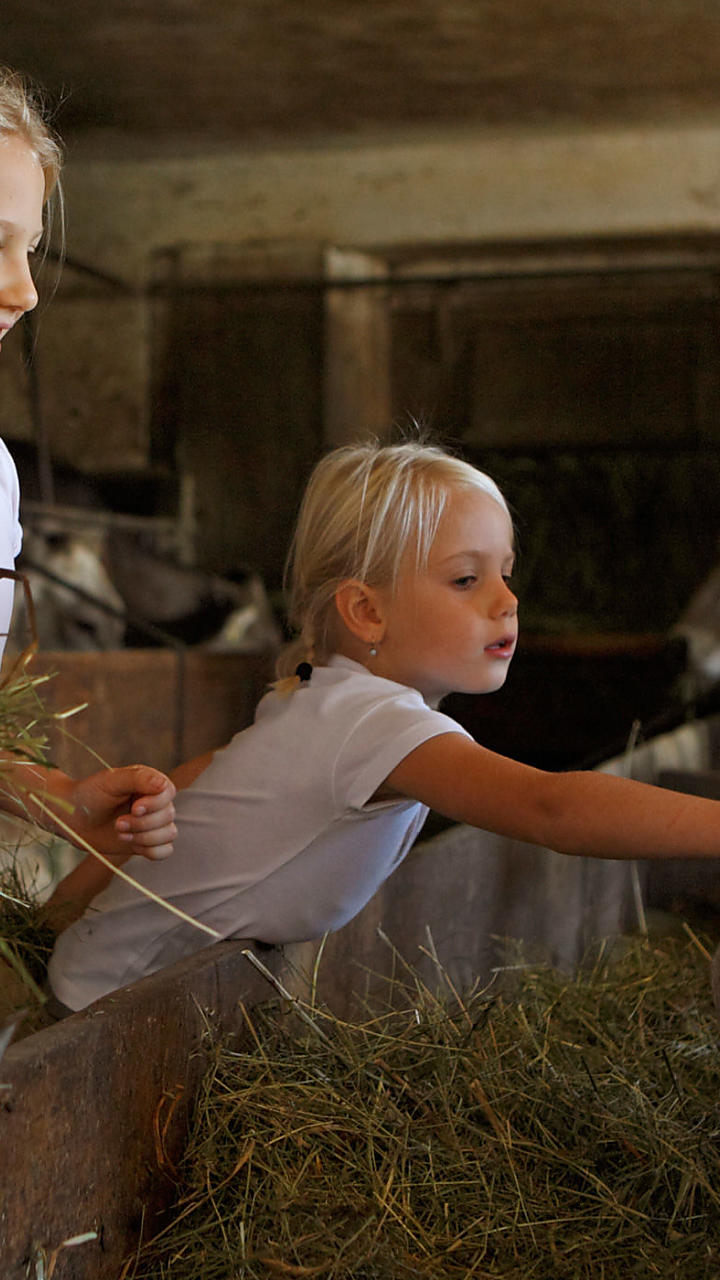 Visite alle stalle negli agriturismi dell’Alto Adige