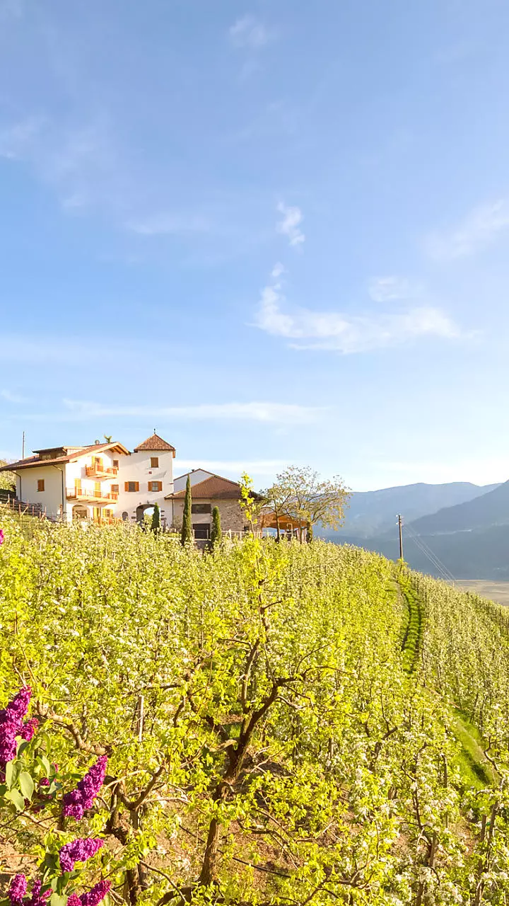 Vacanza di primavera in agriturismo in Alto Adige